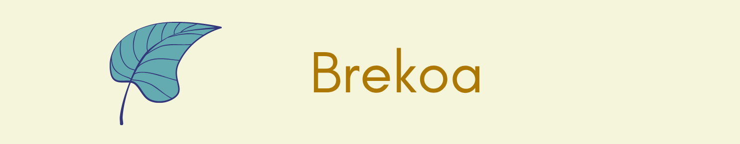 Brekoa